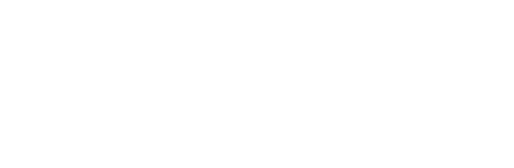 IWE Logo